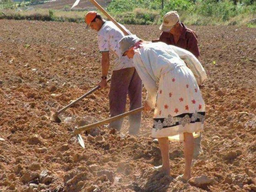 Adelantaron la segunda cuota del aumento a los trabajadores rurales