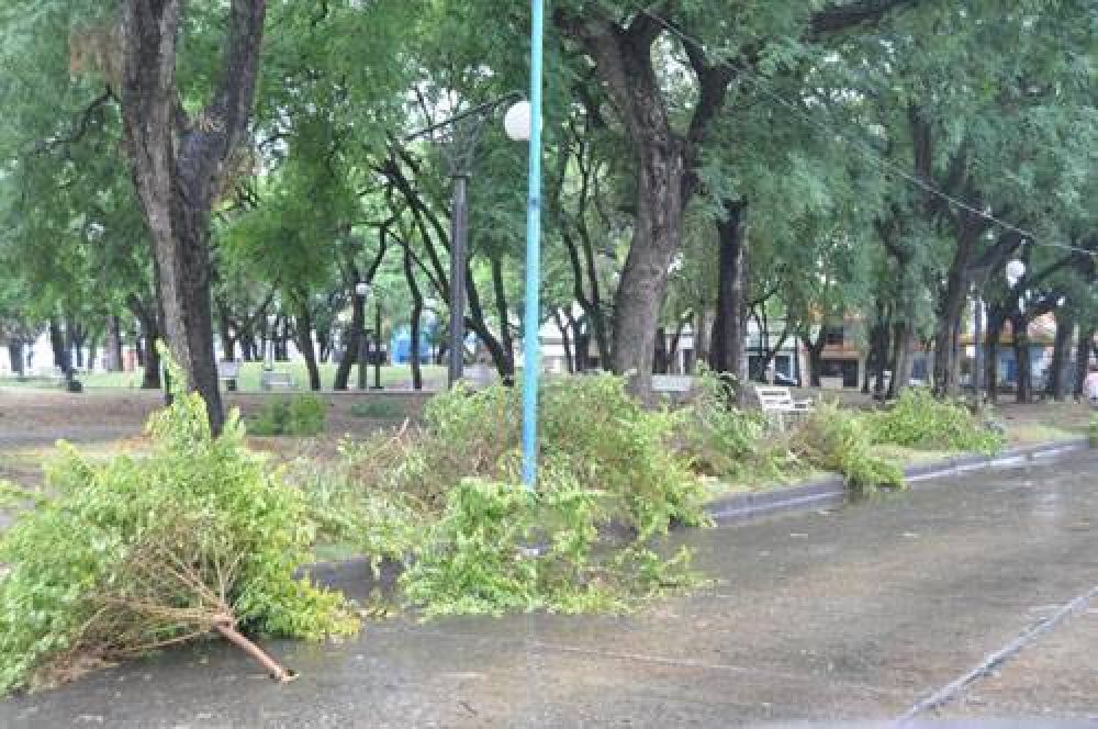 La lluvia trajo alivio pero tambi�n ca�da de postes y varios cortes de energ�a