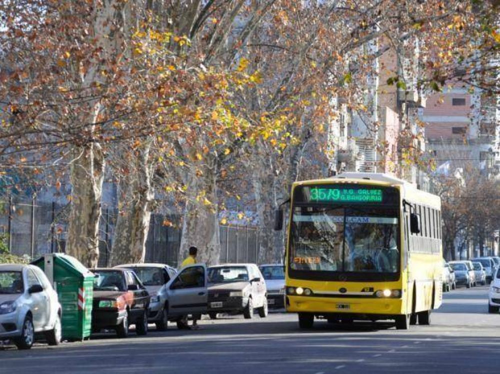 Cinco l�neas de �mnibus alteran sus recorridos por la competencia