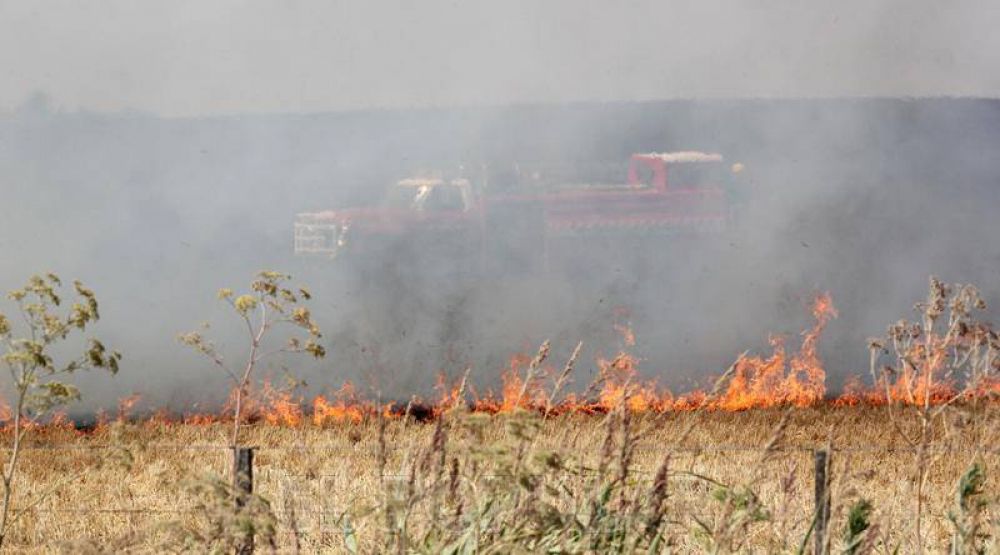 Bomberos combati� varios frentes de incendios de pastos
