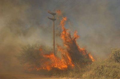 Se incendi� un campo en Santa Rosa