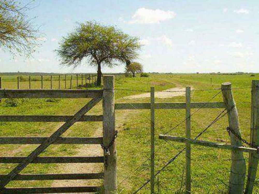 Cazador muri� tras recibir disparo de su compa�ero por accidental maniobra con su arma