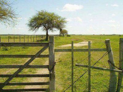 Cazador muri� tras recibir disparo de su compa�ero por accidental maniobra con su arma
