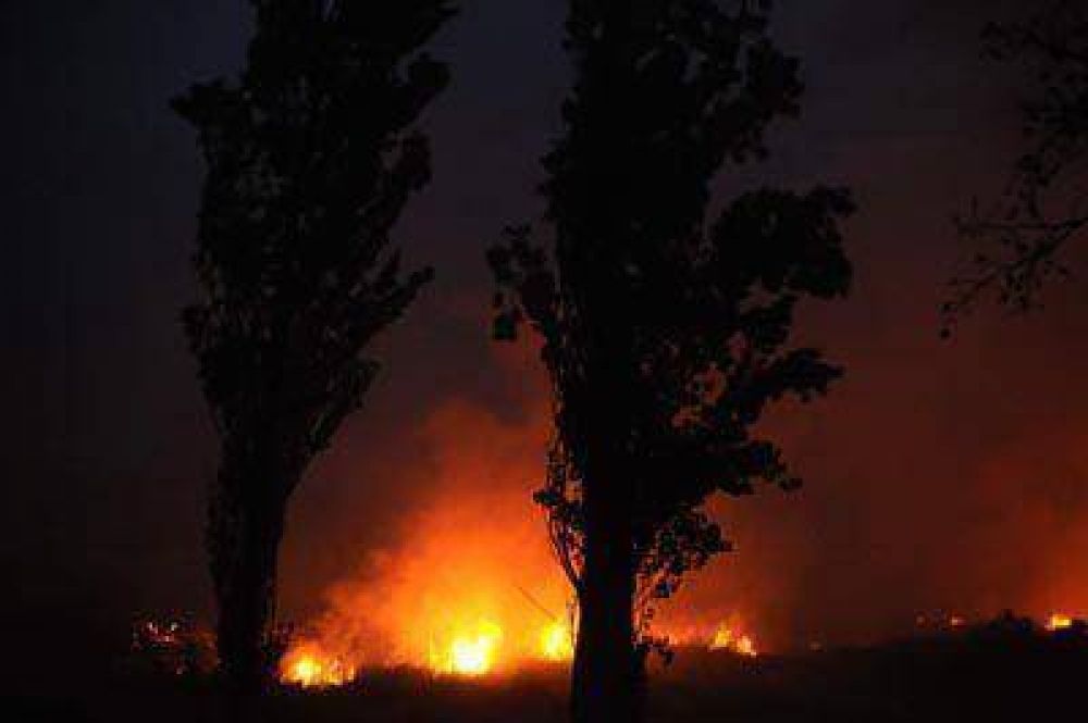 Voraz incendio en campos de la Sierra de Los Padres