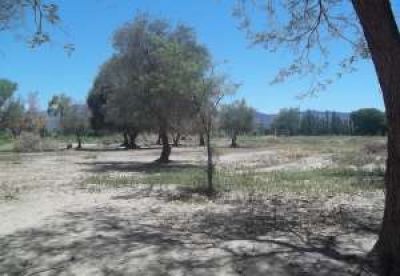 Casas: J�chal perfila para la primera licitaci�n anual