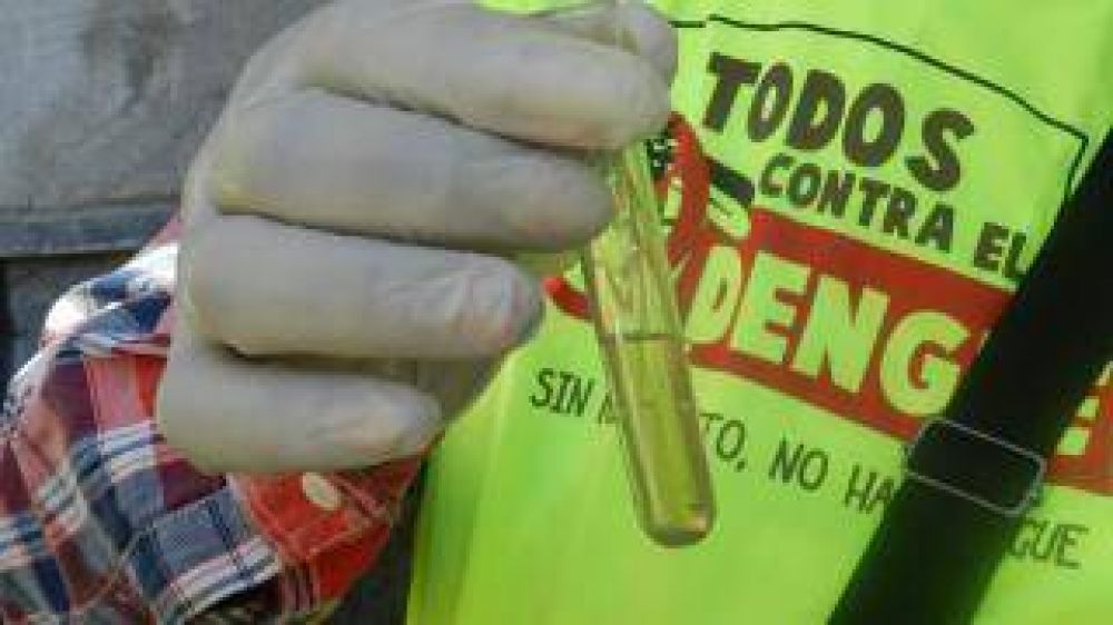 Contin�an hoy las tareas de lucha contra el dengue