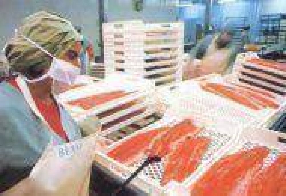 Vuelven a Resistencia y Fontana los pescados y mariscos a precios populares