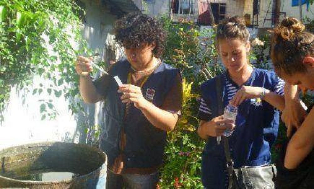 Instan a reforzar las medidas preventivas para prevenir el dengue