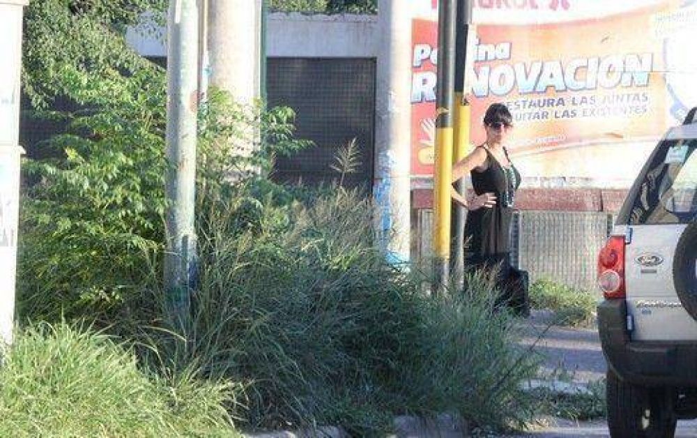 Piden que la Municipalidad compense a vecinos de barrios afectados por malezas