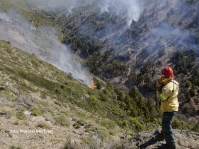 Alarmante: en tres meses hubo m�s de 400 focos de incendio