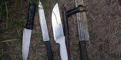Secuestran una tumbera, armas blancas y detienen a dos hombres