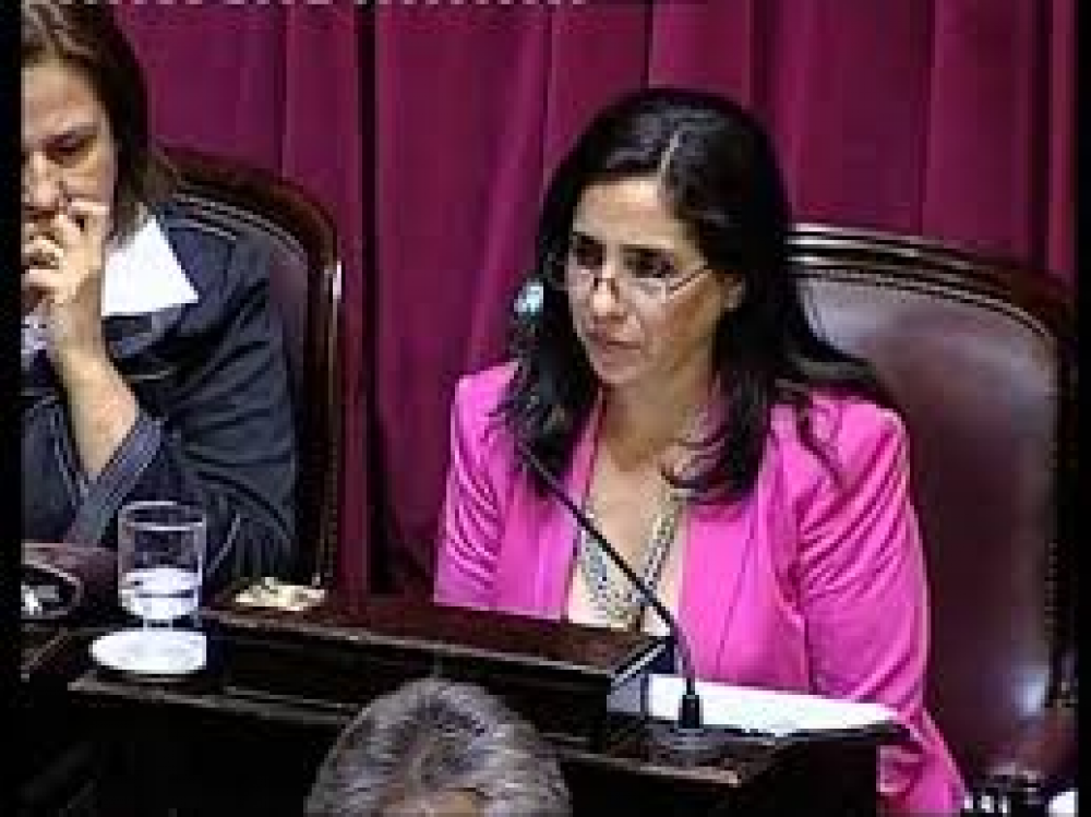 La senadora De la Rosa acuso a Naidenoff de "falaz y de despreciar a los sectores populares"