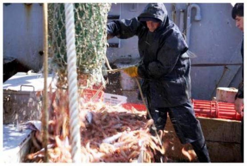 Comenzar� la Temporada de Pesca en Caleta Olivia