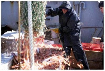 Comenzar� la Temporada de Pesca en Caleta Olivia