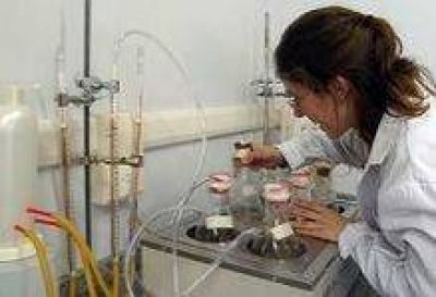 Cuatro becas del Conicet para investigadores de Ingenier�a