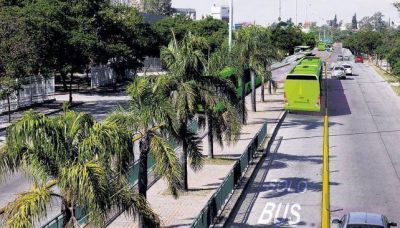 Obras del carril S�lo Bus demandar�n cinco meses