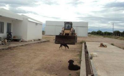 Provincia quiere trasladar basura de Punilla al vertedero de Cruz del Eje