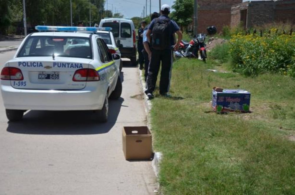 Encontraron un hombre muerto en el 1� de Mayo, una perra descubri� el brazo