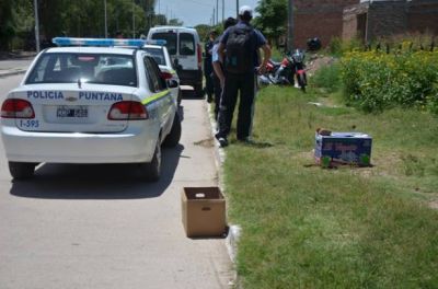 Encontraron un hombre muerto en el 1� de Mayo, una perra descubri� el brazo