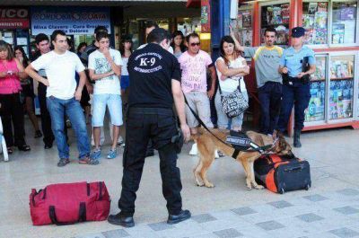 Los n�meros de la lucha contra las drogas en Punilla