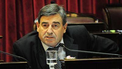 �Das Neves ser� el principal responsable si Aluar deja de producir�