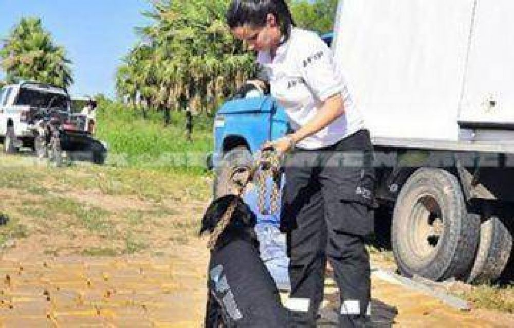 Un perro de AFIP detect� una tonelada de marihuana en el Isla del Cerrito