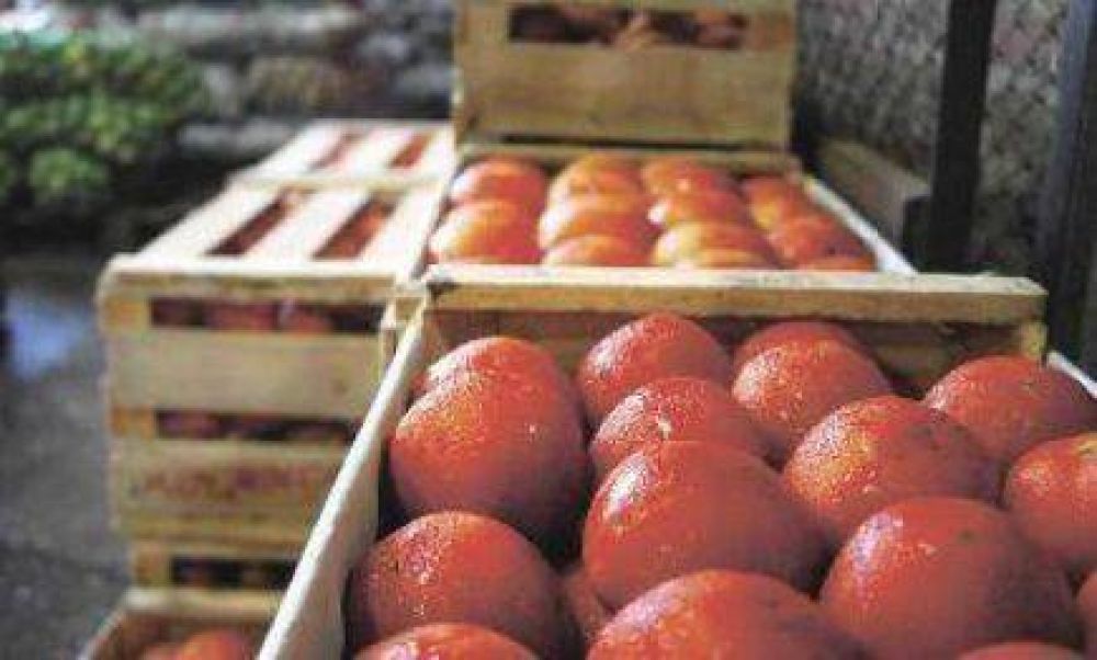 Naci�n importar� tomates de Brasil perjudicando a Misiones