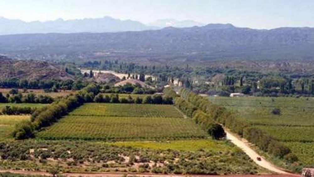 Bel�n: piden que se declare emergencia agropecuaria