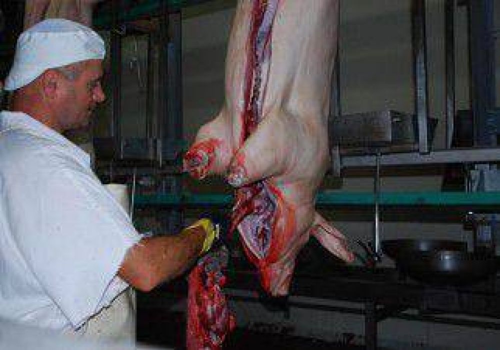 Por el aumento del asado, se consume m�s cerdo 