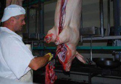 Por el aumento del asado, se consume m�s cerdo 