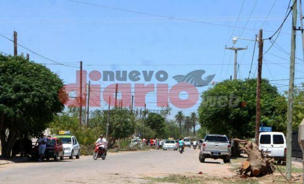 Urge una reforestaci�n tras las p�rdidas por el tornado