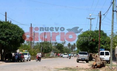 Urge una reforestaci�n tras las p�rdidas por el tornado