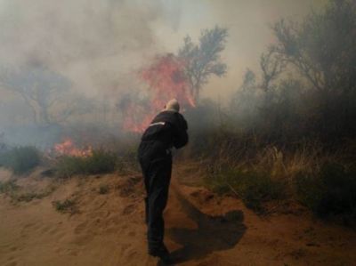 Bomberos controlaron un incendio forestal en el establecimiento El Durazno