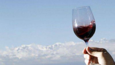 Bodegas mendocinas encabezan la lista de los vinos m�s famosos