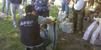 Perra entrenada en Bah�a descubre millonaria carga de drogas
