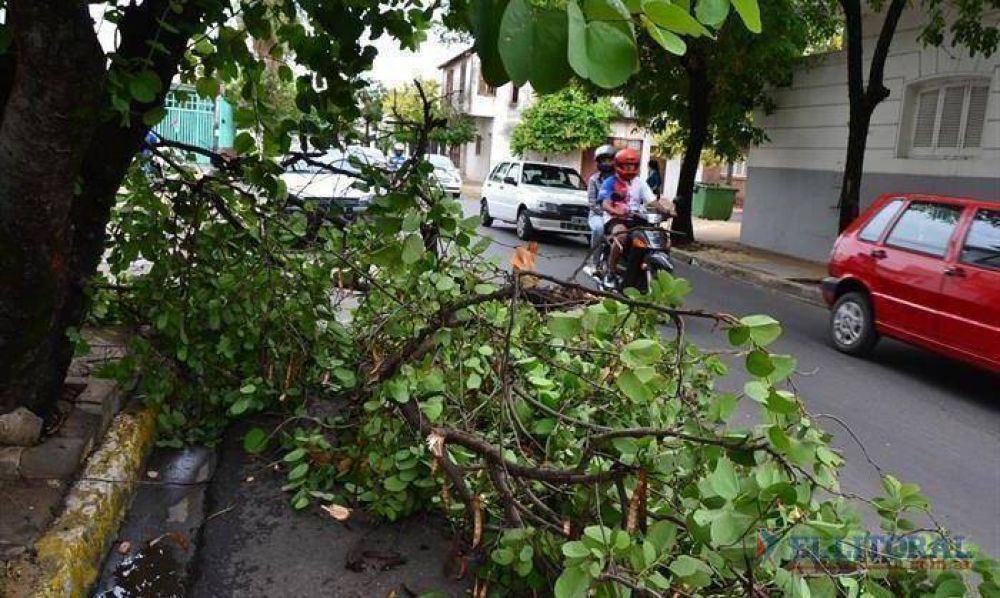 Fuerte tormenta provoc� la ca�da de postes y dej� a varios barrios sin luz
