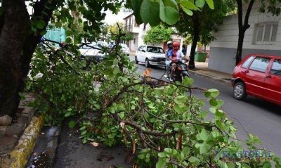 Fuerte tormenta provoc� la ca�da de postes y dej� a varios barrios sin luz