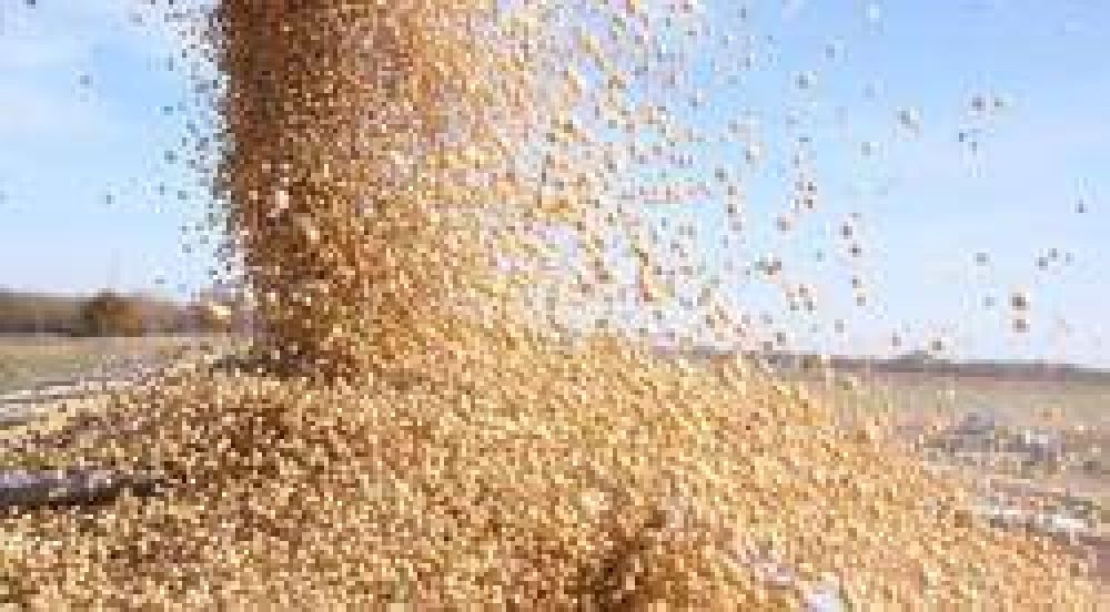 El agro promete completar la venta de u$s 600 millones