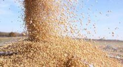 El agro promete completar la venta de u$s 600 millones