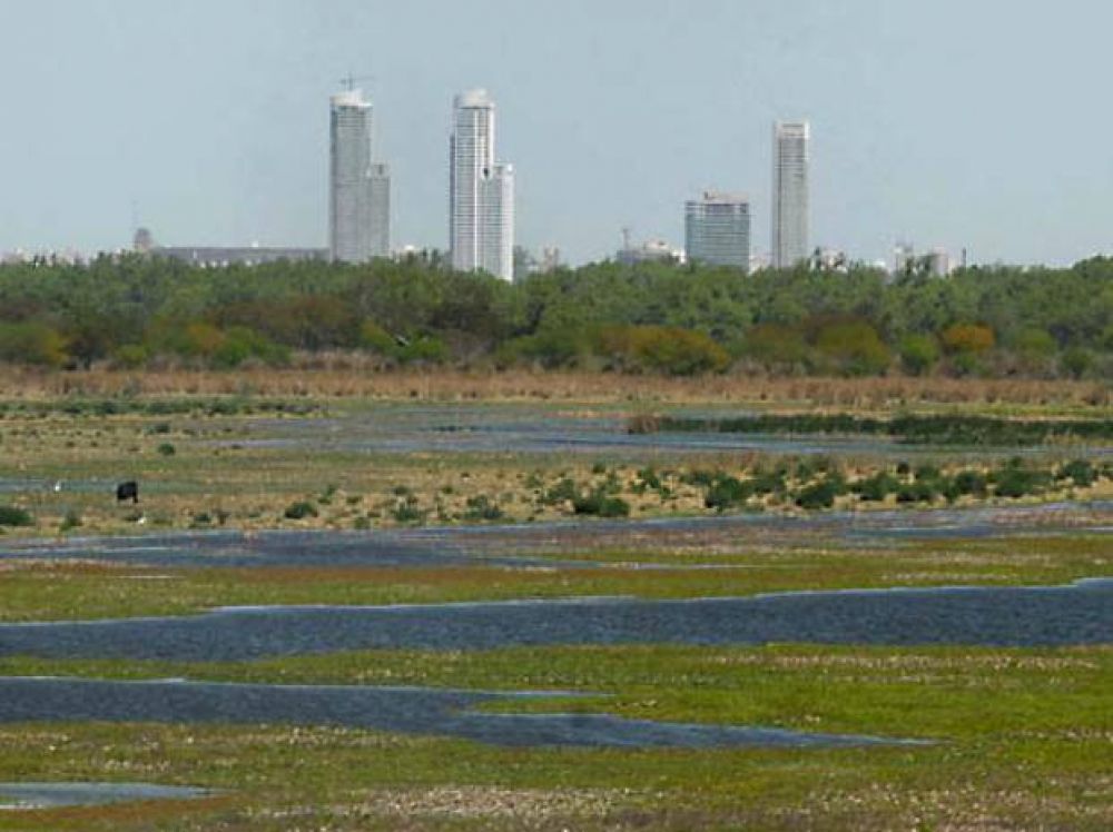 Rosario quiere recuperar un humedal de dos mil hect�reas en las islas