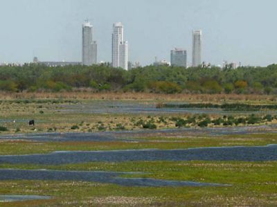 Rosario quiere recuperar un humedal de dos mil hect�reas en las islas