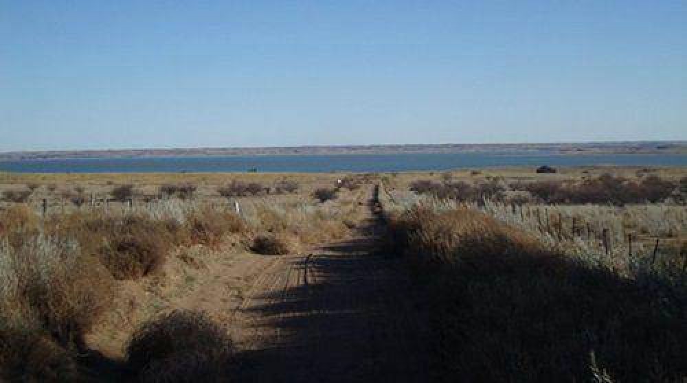 El verano del fuego: otro gran incendio arrasa la zona de la laguna Chasic�