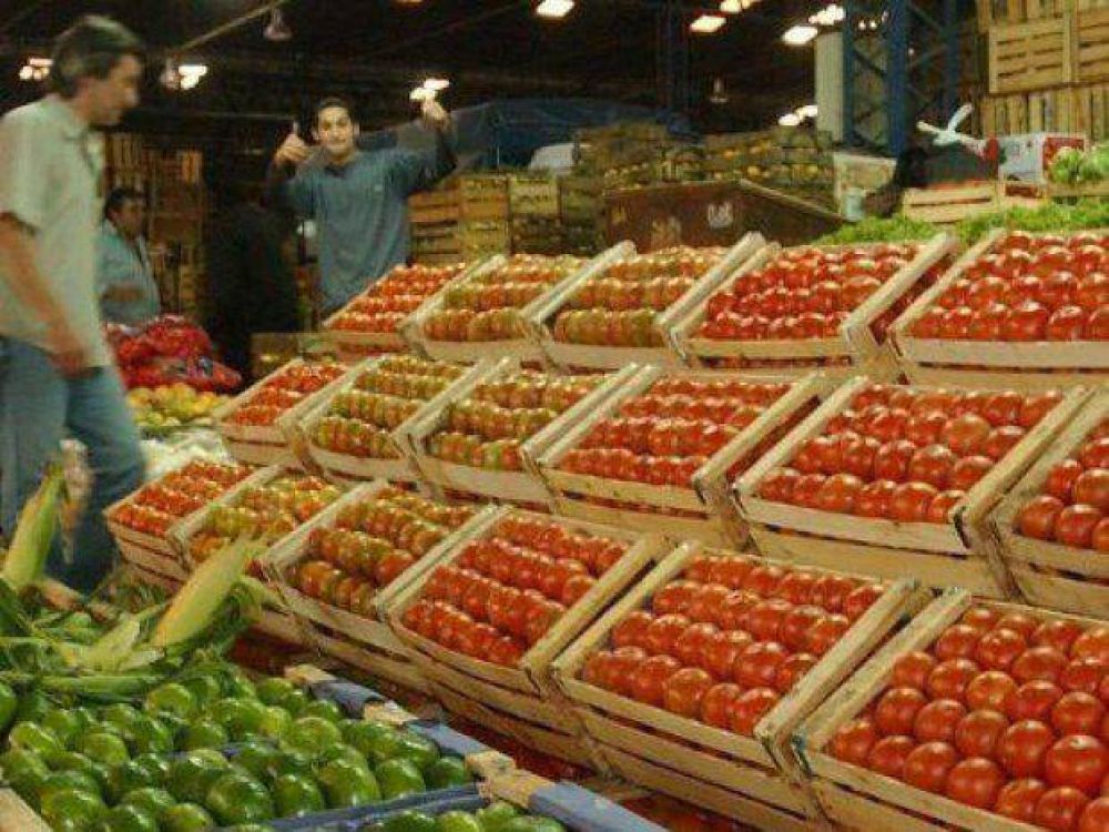Productores advierten que importar tomate generar una parlisis