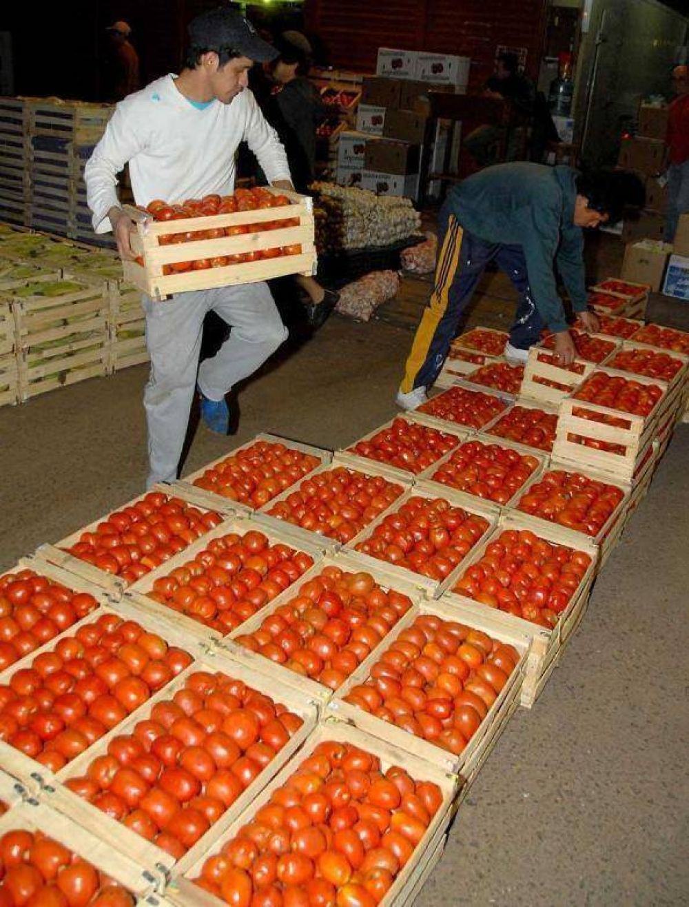 La CAME afirm� que respaldar� a los productores de tomate