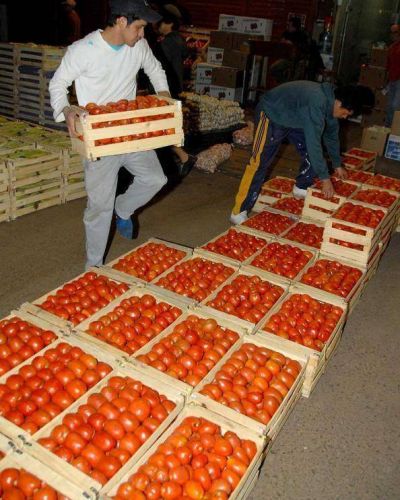 La CAME afirm� que respaldar� a los productores de tomate