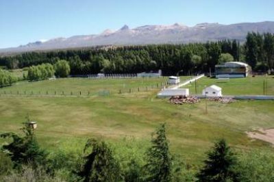 Explota Los Antiguos con su nueva edici�n del Festival de la Cereza