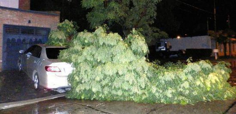 Fuertes r�fagas de viento provocaron anoche ca�da de ramas y cortes en el suministro el�ctrico  
