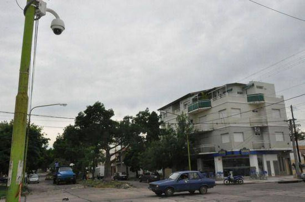 El Municipio realiza la poda de �rboles que afectan la visual del sistema de monitoreo  