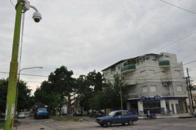 El Municipio realiza la poda de �rboles que afectan la visual del sistema de monitoreo  
