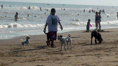 Controlan sin �xito las bajadas con mascotas en nuestras playas